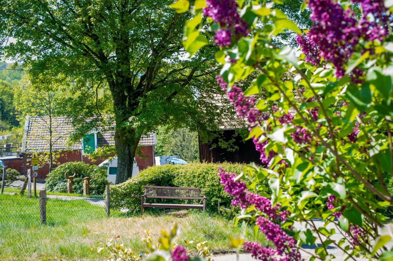 Cruwzo I Apartment With Garden Elberfeld Wuppertal Eksteriør bilde
